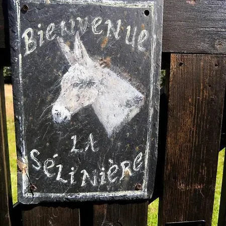 Villa Bienvenue A La Seliniere ! Champ-du-Boult Exterior foto